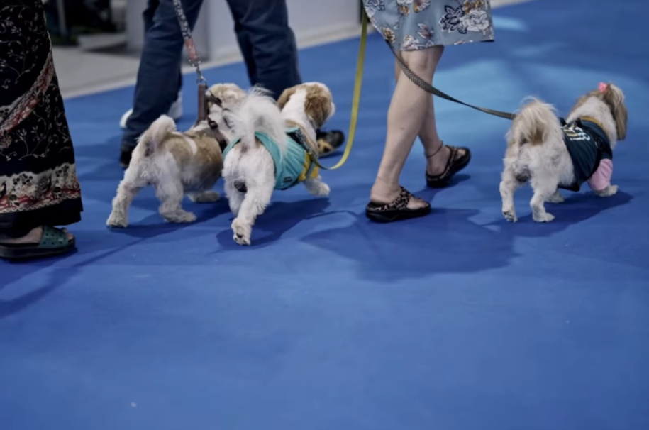 IIPTF:- Event Date:- 23 - 24 Aug, 2025