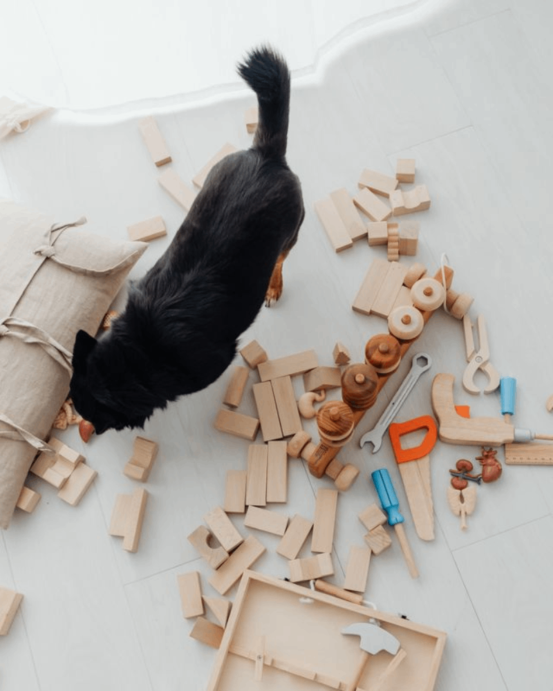 Pet Toys/Accessories