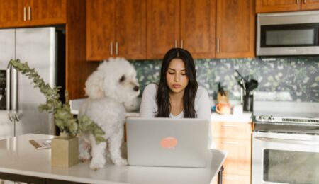 Why Every Pet Parent Should Choose Hygienic & Verified Pet Vendors Near Them Why Every Pet Parent Should Choose Hygienic & Verified Pet Vendors Near Them