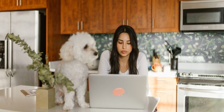 Why Every Pet Parent Should Choose Hygienic & Verified Pet Vendors Near Them