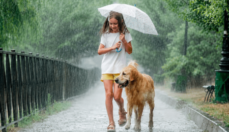 monsoon pet care tips India monsoon pet care tips India