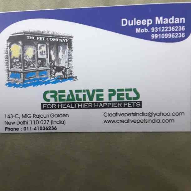 Creative Pets