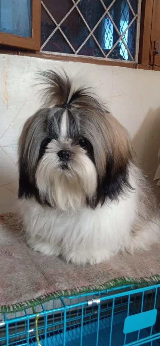 Dadabari, Kota, Rajasthan