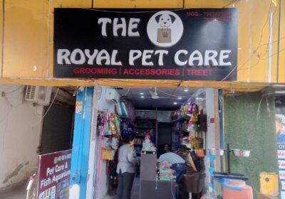 the-royal-pet-care-ek-murti-chow