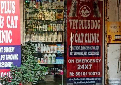 vet-plus-dog-and-cat-clinic-dwar-2