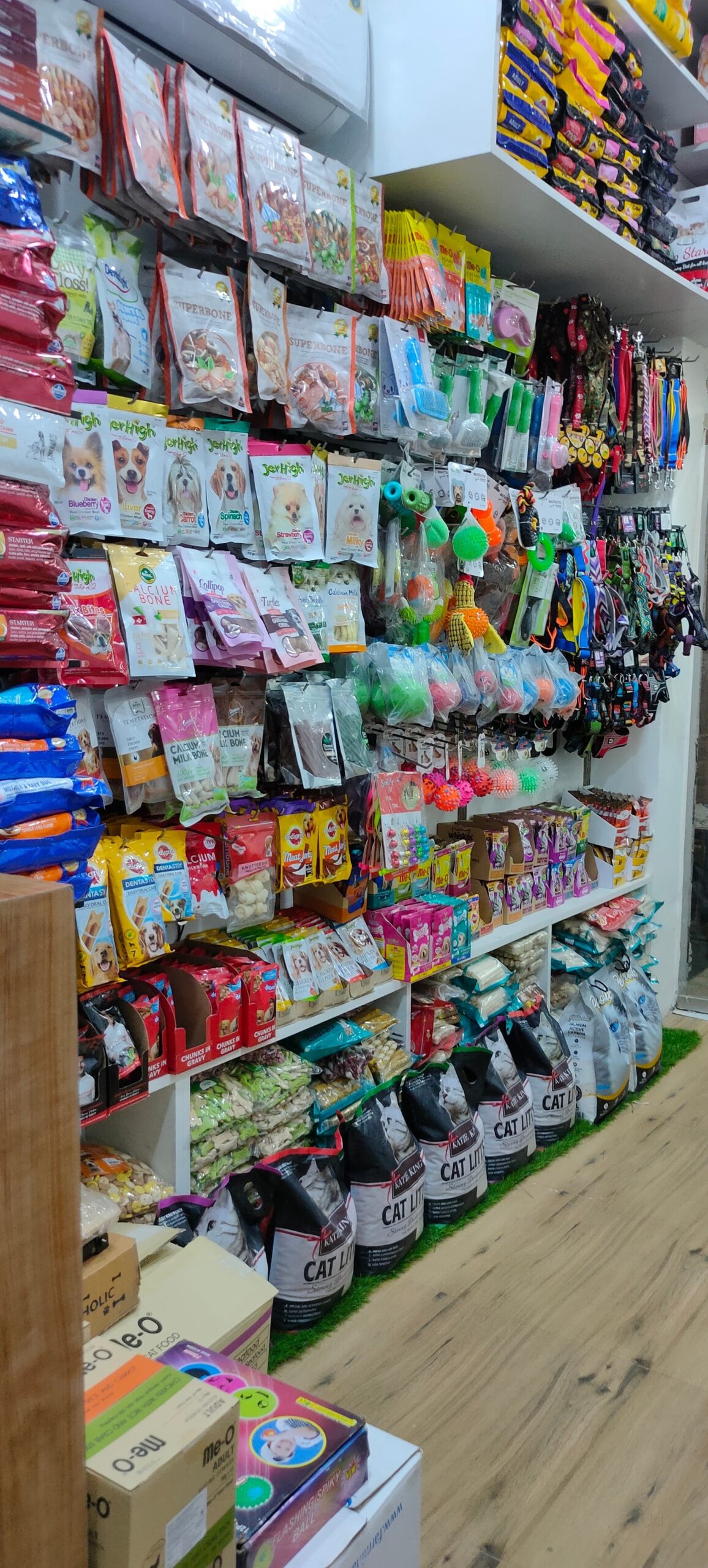 VET PLUS DOG & CAT CLINIC South West Delhi Branch