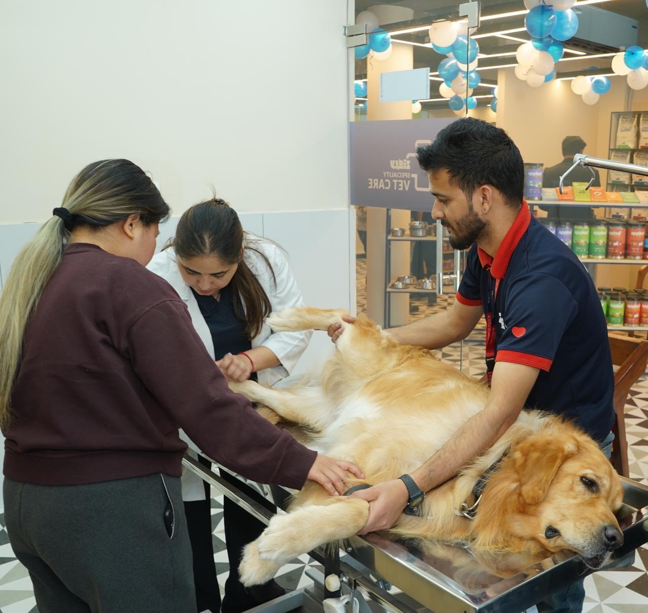 Zigly For Happy Pets