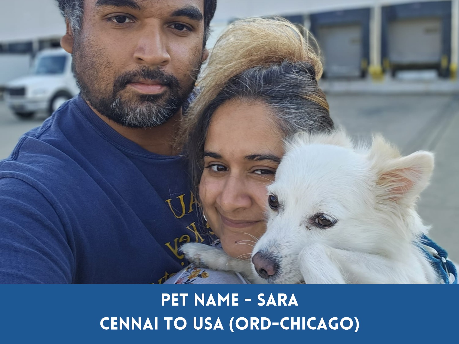 Global Petcab International & Domestic Pet Relocation Services