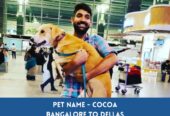 Global Petcab International & Domestic Pet Relocation Services