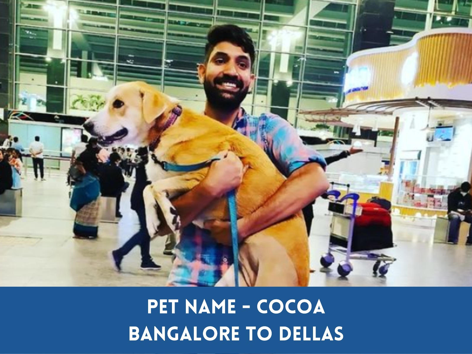 Global Petcab International & Domestic Pet Relocation Services