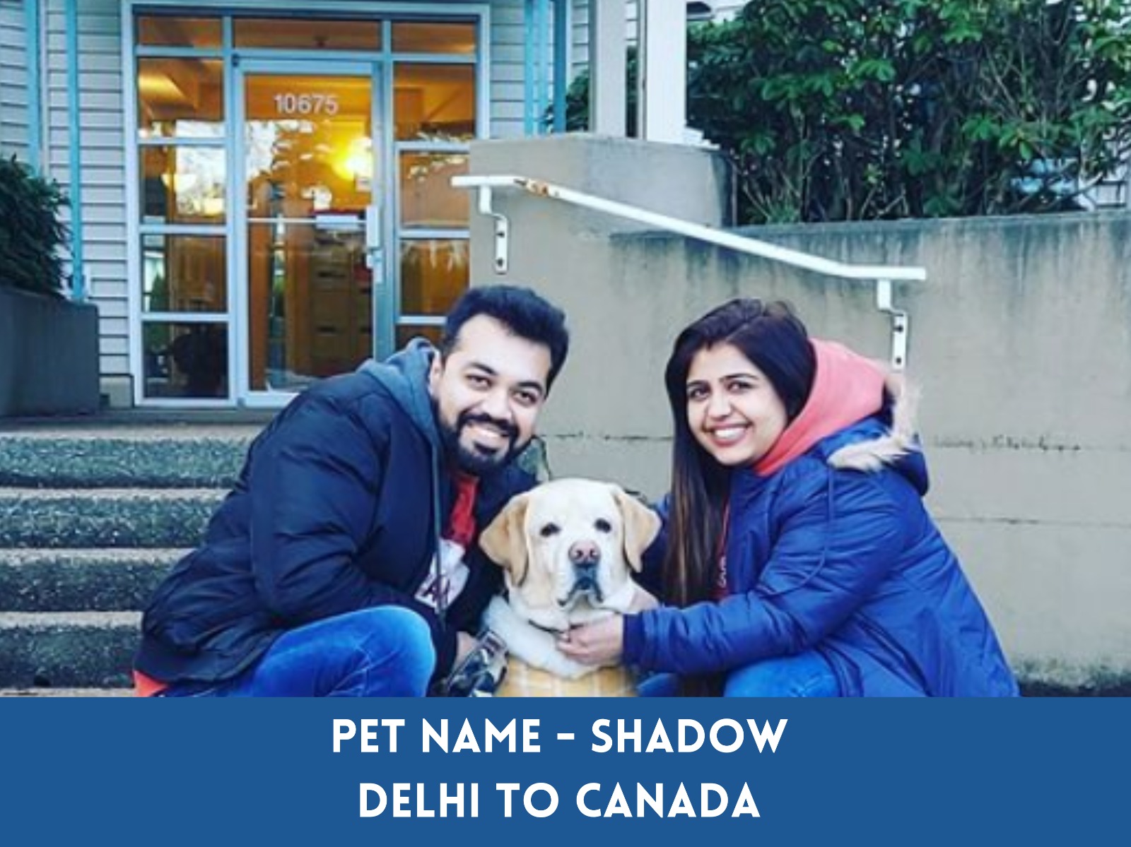 Global Petcab International & Domestic Pet Relocation Services