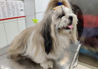 WhatsApp-Image-2020-09-26-at-18.21.32-1024×768-1