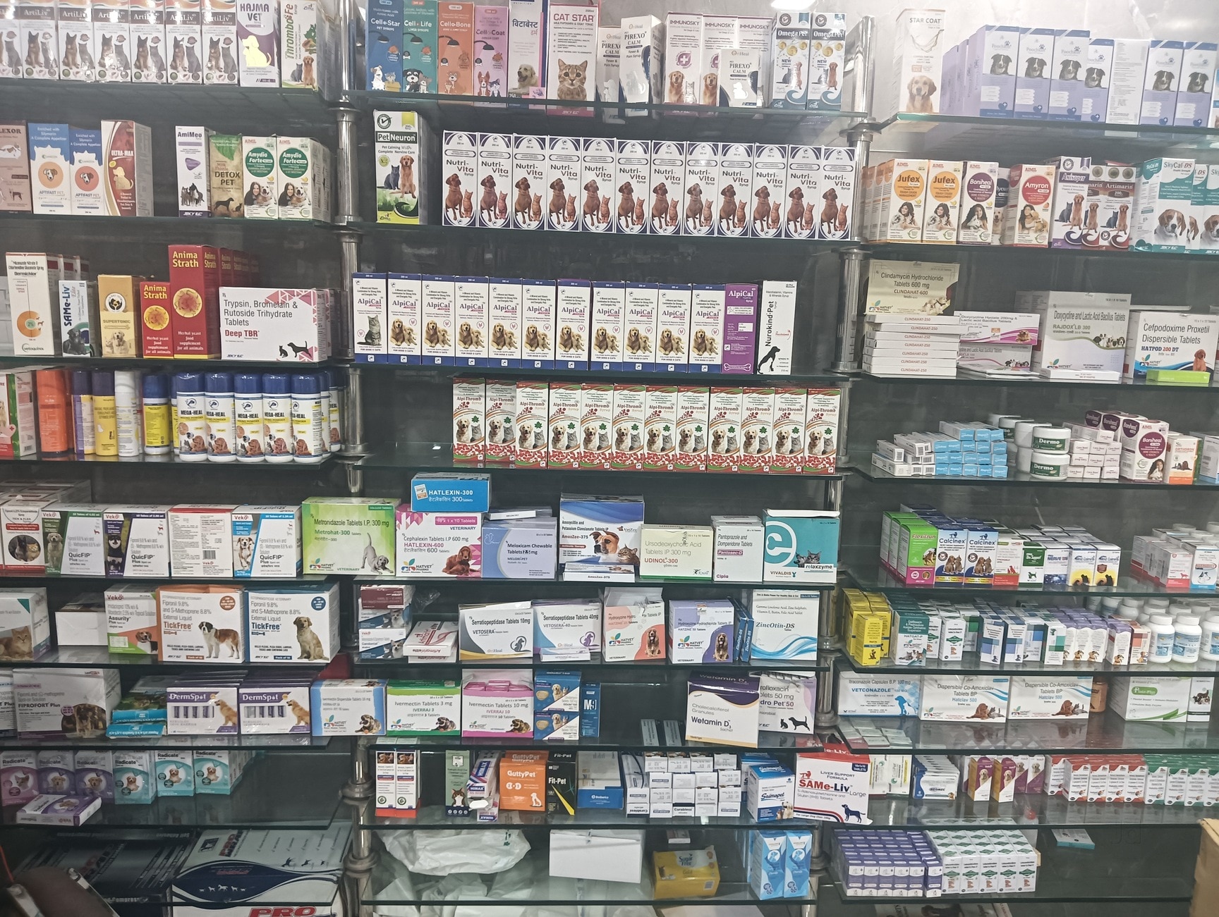 VET PLUS DOG & CAT CLINIC South West Delhi Branch