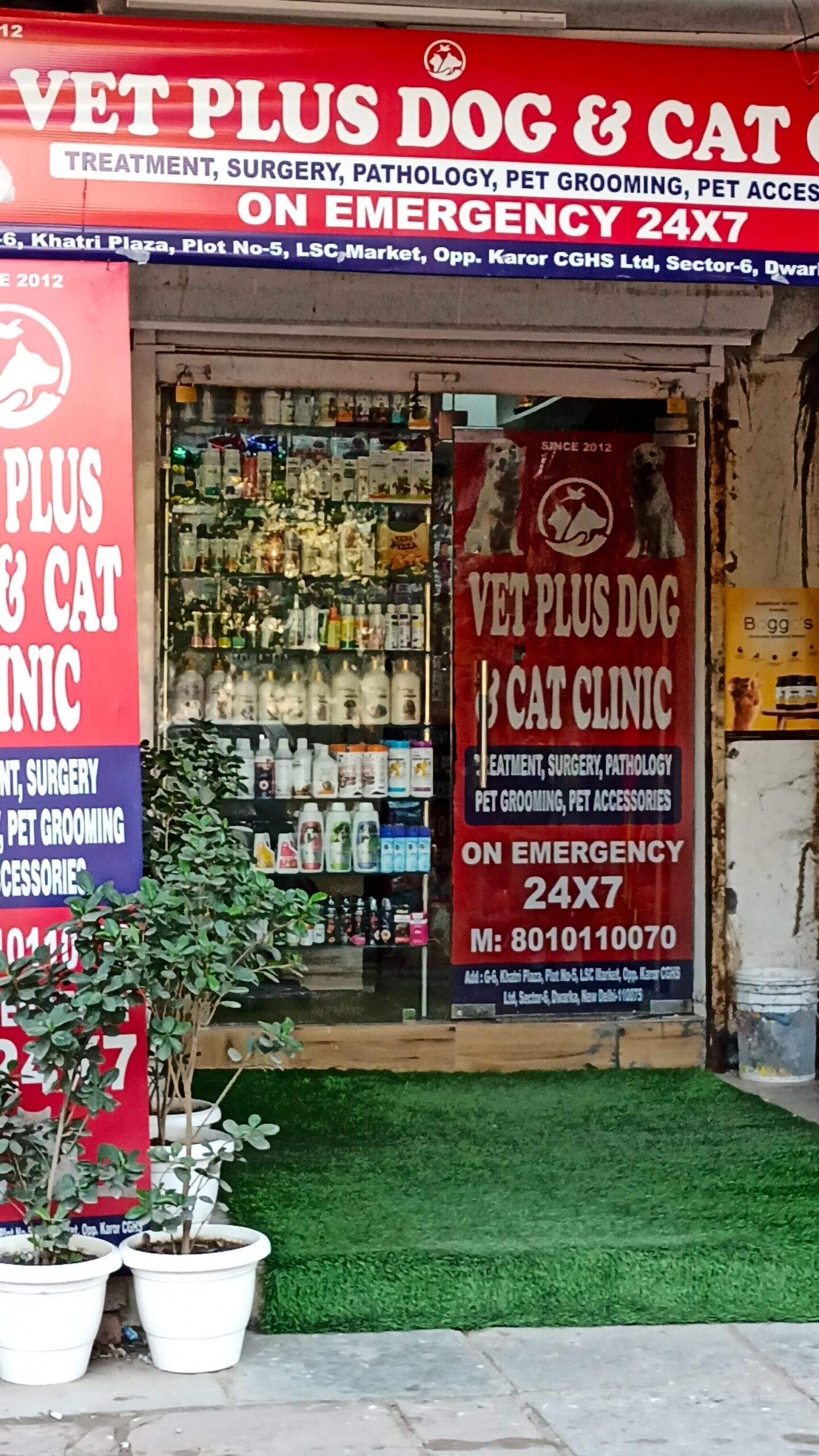 VET PLUS DOG & CAT CLINIC South West Delhi Branch