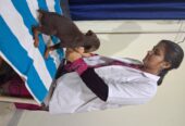 Dr. Pooja Pet Clinic