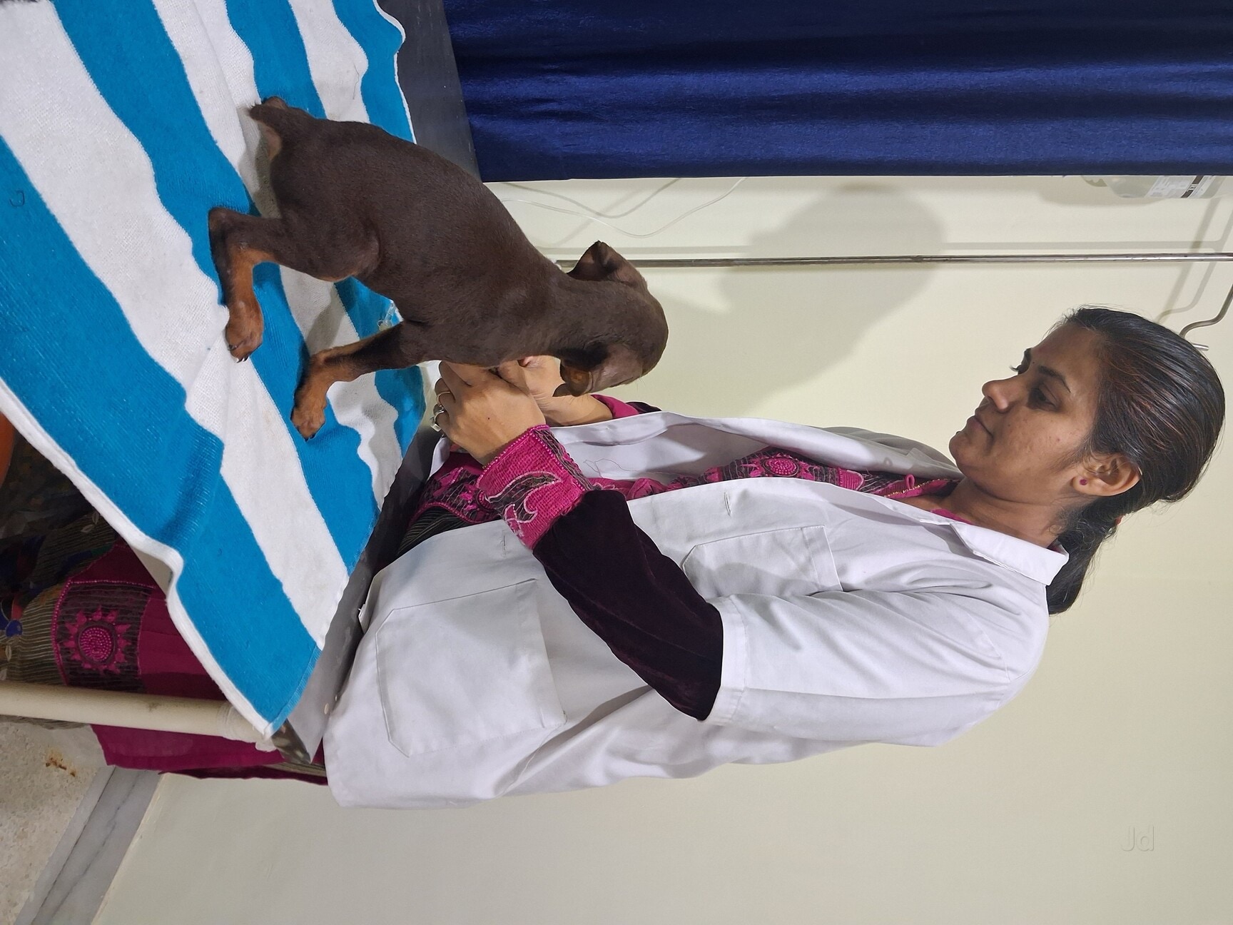 Dr. Pooja Pet Clinic