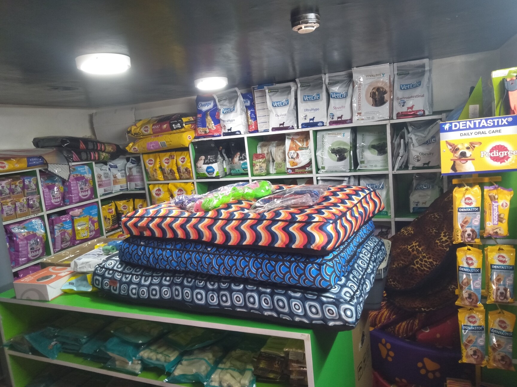 Dr. Ruhils Pets Clinic