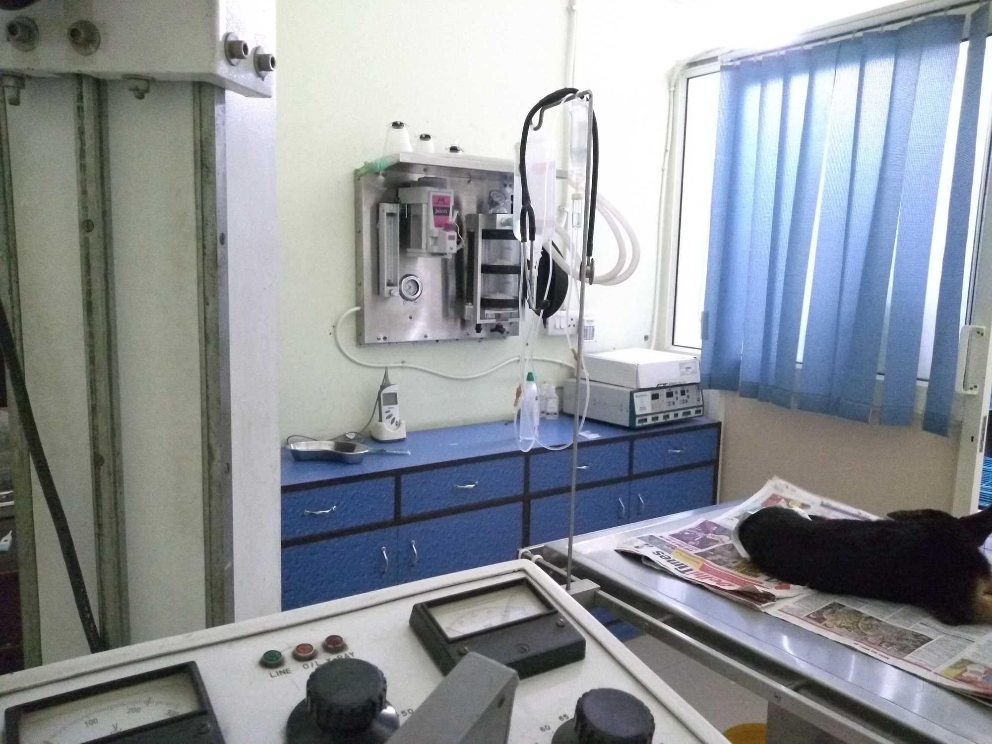 Dr. Ruhils Pets Clinic