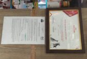 Pet Gallery One Stop Pet Shop