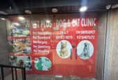 VET PLUS DOG & CAT CLINIC South West Delhi Branch