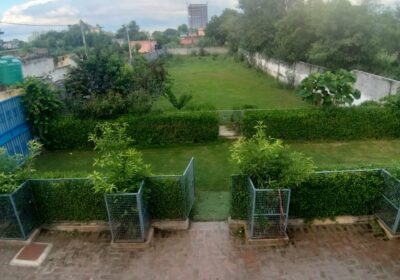 photos-sample-paras-kennel-4