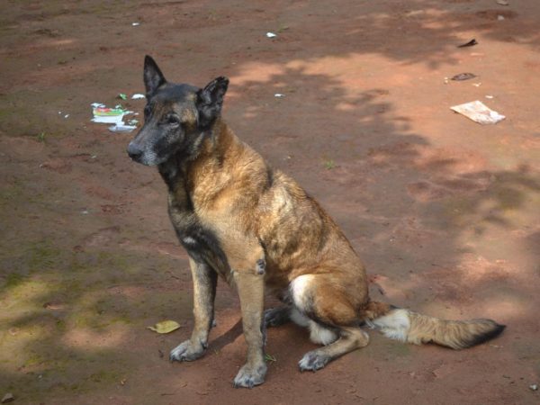 WhatsApp Image 2024-10-14 at 135639 (2)-482